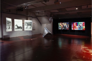 Photos Exposition ‘Sit Back, Relax & Enjoy the Apocalypse’ Works of Emma Robertsson, Anna Zanichelli & Edwina McLennan in the exposition